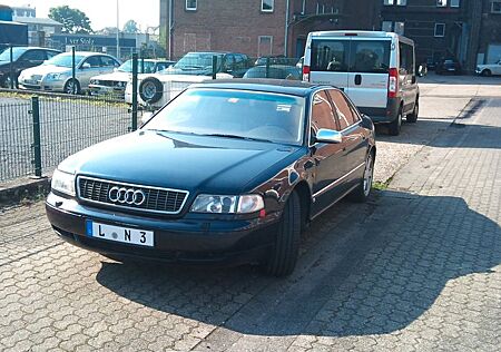 Audi S8 4.2 quattro mit 6-Gang Schaltgetriebe