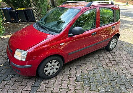 Fiat Panda 1.2 8V Dynamic Klima 8-fach bereift