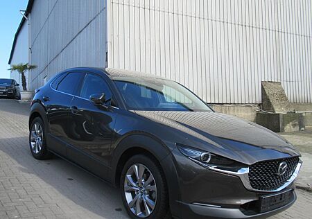 Mazda CX-30 Selection 2WD- Navi-Kamera-HUD-LED-1.Hand
