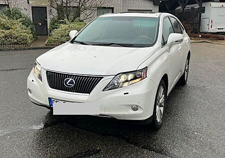 Lexus RX 450 Luxury Line/neuer Akku