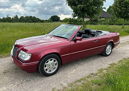Mercedes-Benz E 320