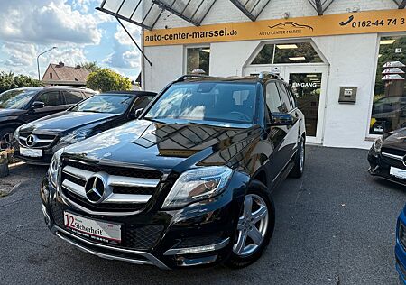 Mercedes-Benz GLK 220 CDI BlueTec 4Matic AHK/EL. SITZE/BIXENON