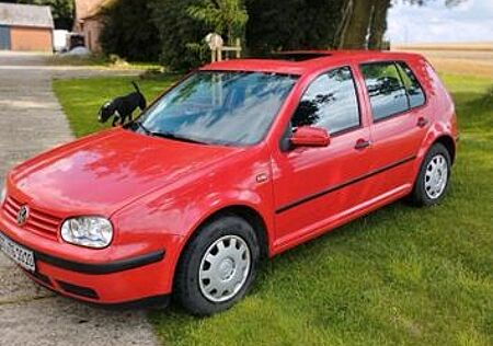 VW Golf Volkswagen 1.4 Basis
