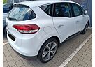 Renault Scenic ENERGY TCe 115 Intens/15.000Km/20 Zoll Al