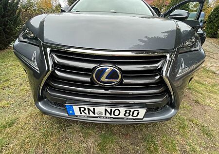 Lexus NX 300 300h -