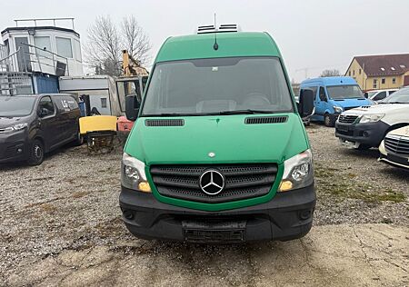 Mercedes-Benz Sprinter II Kasten 313 CDI Kühlwagen MAXI