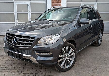 Mercedes-Benz ML 350 CDI / LEDER / AHK / NAVI
