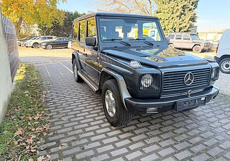 Mercedes-Benz G 300 H-Kennzeichen