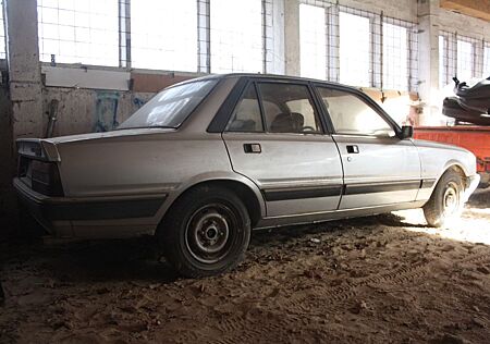 Peugeot 505 GTD Lederausstattung