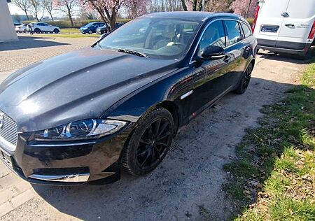 Jaguar XF Sportbrake 2.2 Diesel TÜV -Inspektion neu