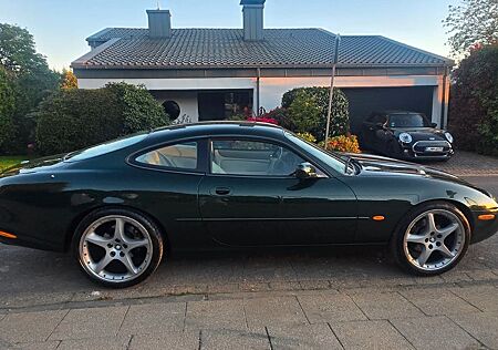 Jaguar XK8 Coupe - 61tkm - WGA 2+