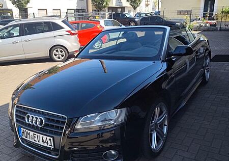 Audi A5 2.0 TDI (DPF) Cabriolet -