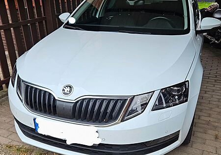 Skoda Octavia DSG *Pano *8fach Bereifung *Alcantara