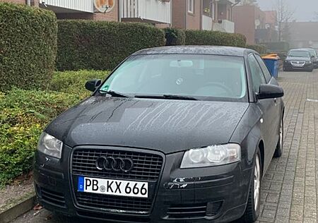 Audi A3 8P Tiefergelegt, Rostfrei
