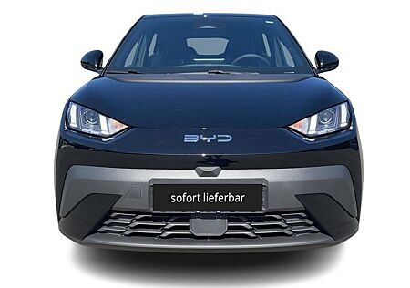 BYD DOLPHIN Surf Boost Alarm Alu DAB Keyless Klima N