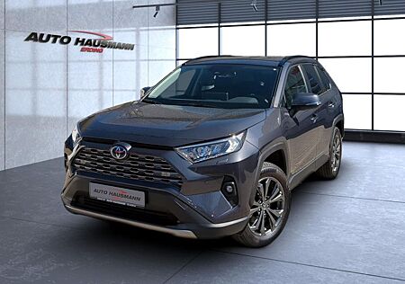 Toyota RAV 4 RAV4 2.5 Hybrid 4x4 Team D Automatik Navi