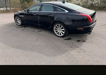Jaguar XJ Portfolio 3.0 V6 Diesel S Portfolio