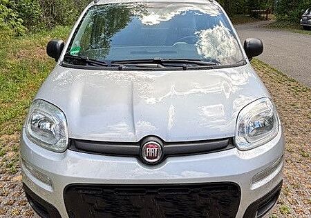 Fiat New Panda 1.2 8V MY PANDA MY PANDA | KLIMA