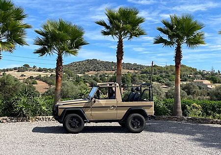 Mercedes-Benz G 250 WOLF Umbau