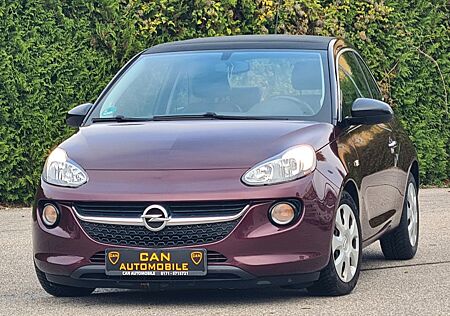 Opel Adam 1.0 Open Air ecoFlex-Leder-Klima-SH-PDC