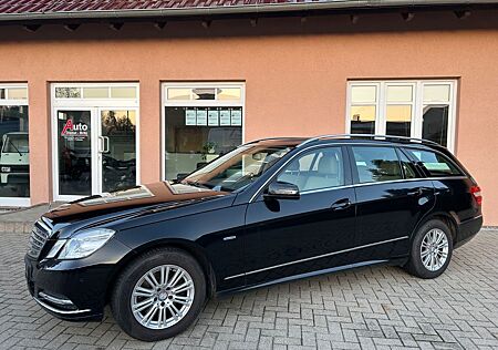 Mercedes-Benz E 250 E T-Modell CGI BlueEfficiency