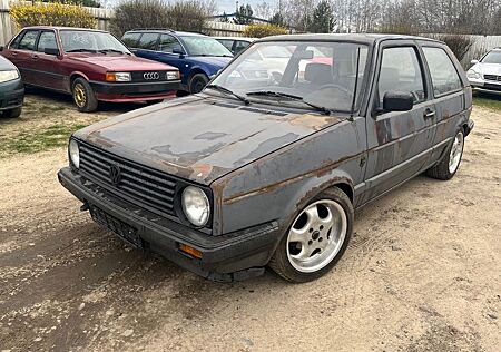 VW Golf Volkswagen 2 Leder Fahrwerk - lackierter Ratten-Look