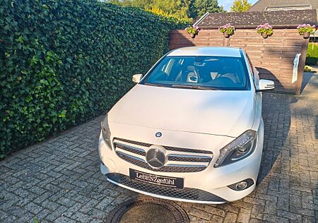 Mercedes-Benz A 180 -W176 Bi-Xenon AHK Ganzjahresreifen