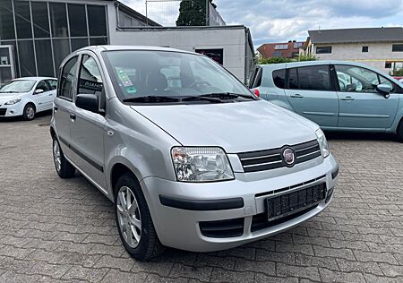Fiat Panda 1.2 8V Dynamic*TÜV NEU*KLIMA*SERVICE NEU*