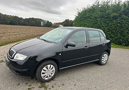 Skoda Fabia 1.2 Tüv-Klima-Allwetterreifen-5türig