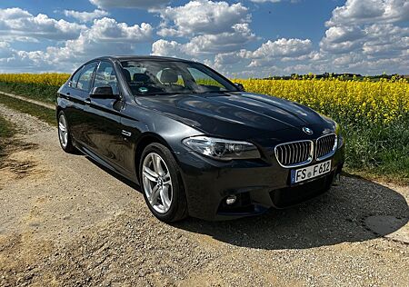 BMW 530d xDrive Automatik M-Paket AHK 8-fach Bereift