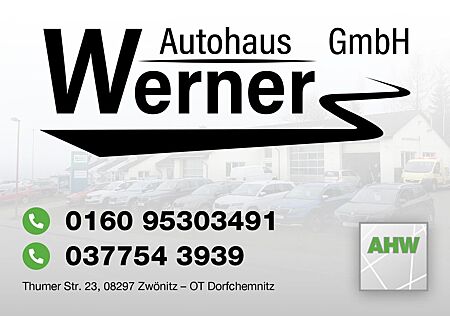 Skoda Octavia Combi RS 265PS DSG PADACH DCC LM19"AHK