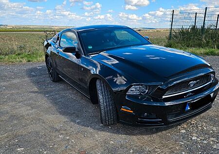 Ford Mustang V6