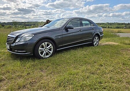 Mercedes-Benz E 300 CDI BlueEFFICIENCY ELEGANCE ELEGANCE