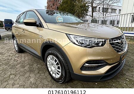 Opel Grandland X Grandland (X)Selection Erst 22600km!!!