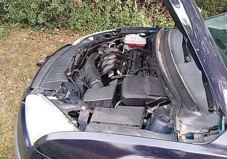 Ford Focus 1,6