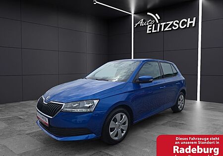 Skoda Fabia Cool Plus 1.0 TSI KLIMA DAB SITZHEIZUNG