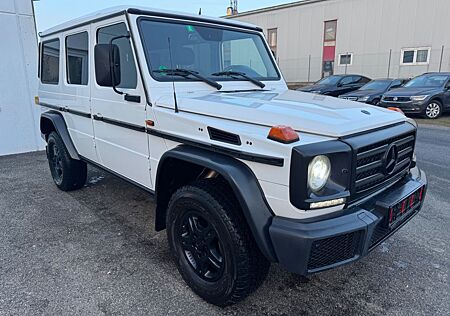 Mercedes-Benz G 350 d Professional*AHK*STANDHZ*XENON*NAVI*SHD*