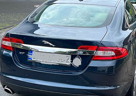 Jaguar XF 3.0 V6 155kW Diesel Premium Luxury Premiu...