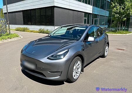 Tesla Model Y Dual Motor Long Range AWD WR Quick