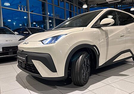 BYD DOLPHIN Surf Boost Tageszulassung