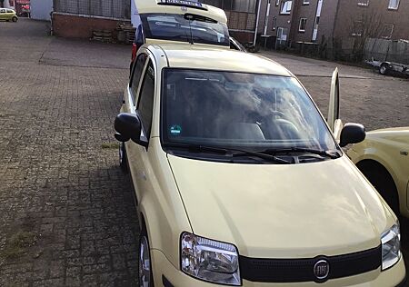 Fiat Panda 169 gut und Günstig in allem.
