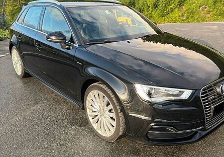 Audi A3 1.4 TFSI e-tron S tronic Ambition