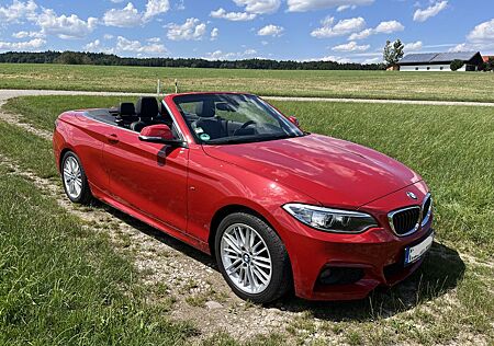 BMW 220i Cabrio M Sport *XENON*Leder* Verd. anthraz.