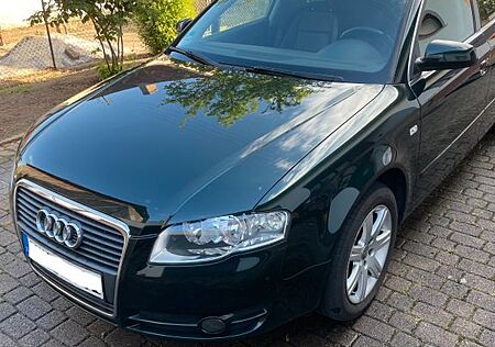 Audi A4 2.0 Avant - B7 8E / 8-fach bereift