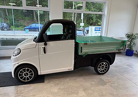 Ligier 45km`h -Flex Pickup