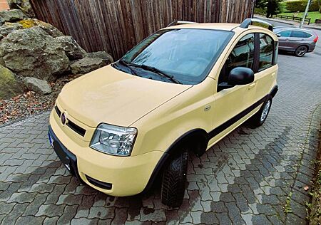 Fiat Panda Allrad, Anhängerkupplung, Raumwunder