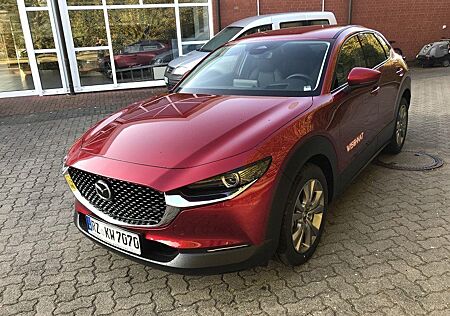 Mazda CX-30 2.5L e-SKYACTIV G 140PS 6AT Exclusive-line