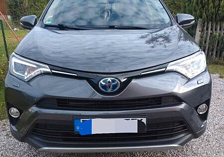 Toyota RAV 4 2,5-l-Hybrid Team Deutschland 4x4...