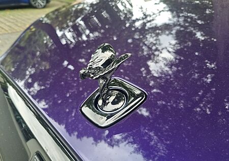 Rolls-Royce Spectre Black Badge/Massage/Headliner