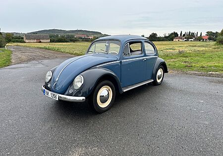 VW Käfer Volkswagen